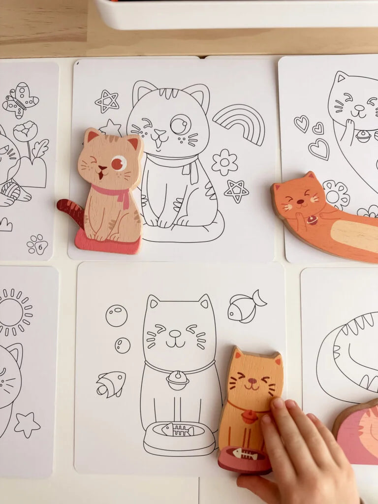 QToys Australia (USA) Cat play set & colouring